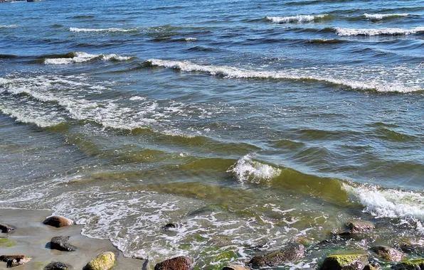Morze, plaża, fale