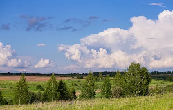 Лето, облака, природа, вечер, июнь, летний вечер, вечернее небо, смоленская область