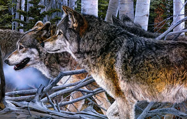 Лес, взгляд, рисунок, стая, картина, арт, волки, профиль