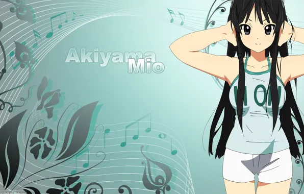 K-ON, 2014, AkiyamaMio