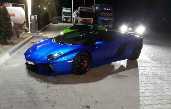 EROTIC, CARS, GIRLS, MEN
