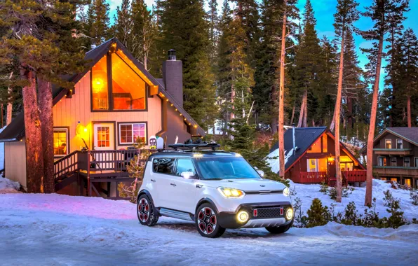 Winter, Snow, White, Kia, Forest, 2015, Trailster, Off road