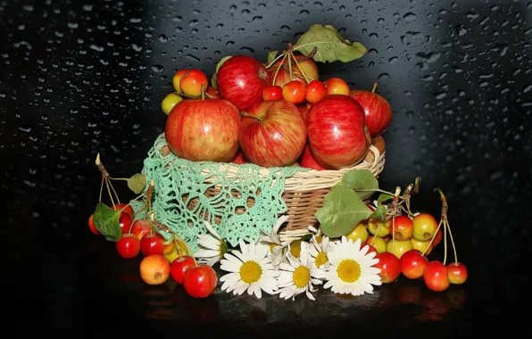 Природа, настроение, яблоки, ромашки, красота, корзинка, красивые, beautiful