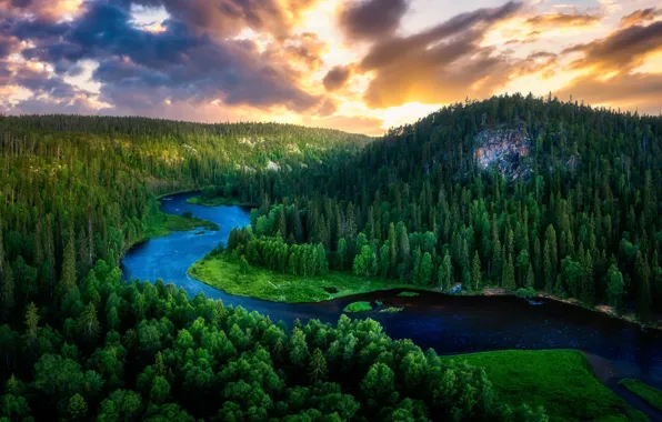 Картинка лес, лето, природа, река