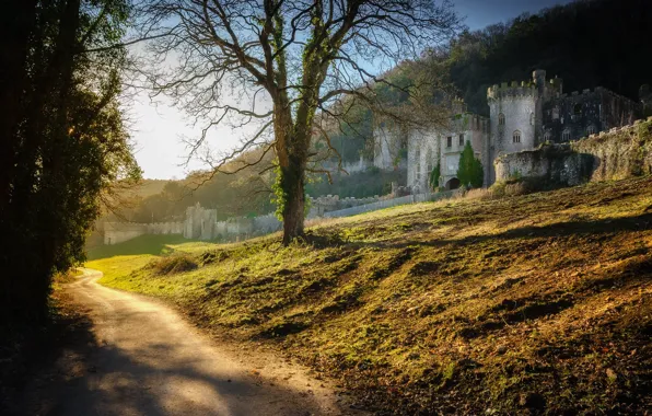 Картинка дорога, утро, Уэльс, Abergele, Gwrych Castle