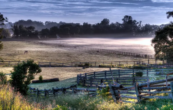 Картинка поле, пейзаж, туман, конь, забор, утро