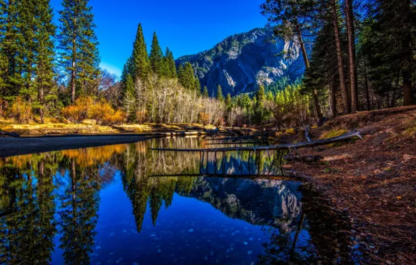Картинка деревья, горы, река, берег, вершины, США, Yosemite national park, Йосе́митский национальный парк