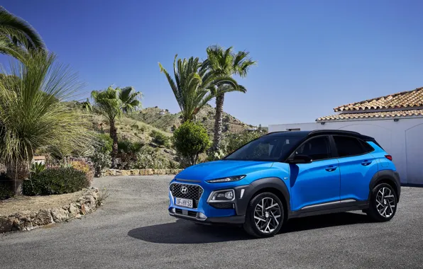 Hyundai, Hybrid, кроссовер, Kona, 2019