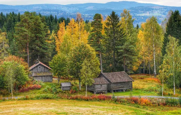 Картинка домик, горы, деревья, деревня, поле, осень, лес