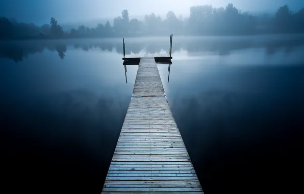 Trees, wood, lake, fog, houses, pier, cold