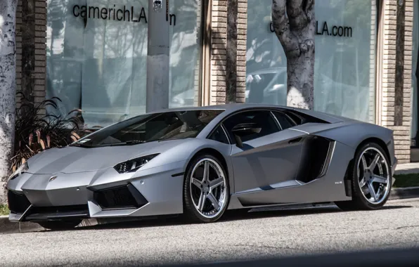 Картинка silver, lamborghini, street, aventador