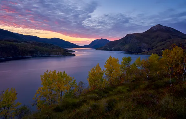 Картинка grass, river, sky, trees, landscape, nature, water, mountains