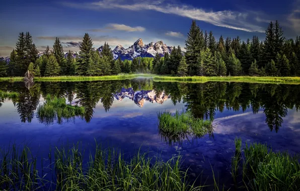Лес, озеро, отражение, Вайоминг, Wyoming, Гранд-Титон, Grand Teton National Park, Скалистые горы