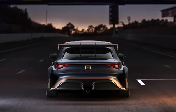 Вечер, вид сзади, Leon, Competition, Seat, Cupra, 2020