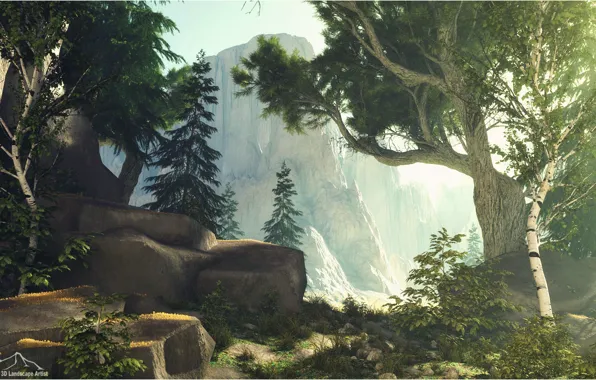 Лес, горы, скала, растительность, Forest Edge