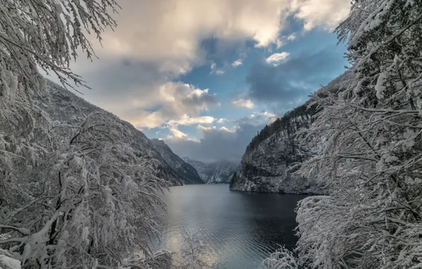 Картинка зима, снег, деревья, горы, ветки, озеро, Германия, Бавария