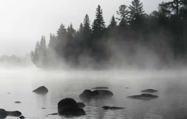Туман, Озеро, Лес, Утро, Nature, Landscape, Morning, Fog