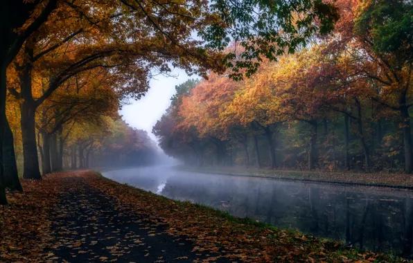Осень, деревья, природа, листва, канал, дымка