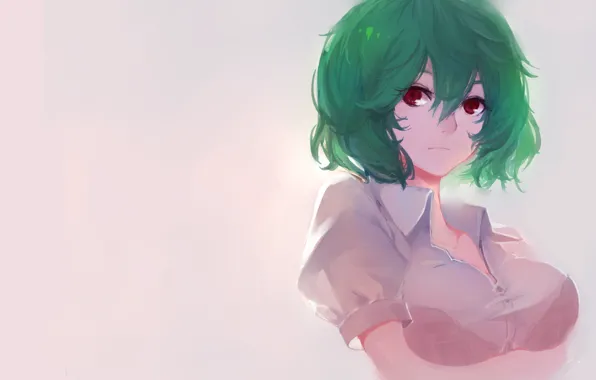 Картинка девушка, фон, арт, зеленые волосы, touhou, kazami yuuka, sola7764