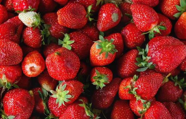 Ягоды, клубника, fresh, strawberry, berries