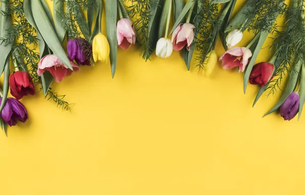 Цветы, colorful, тюльпаны, flowers, beautiful, tulips, spring, multicolored
