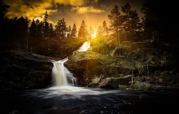 Лес, река, водопад