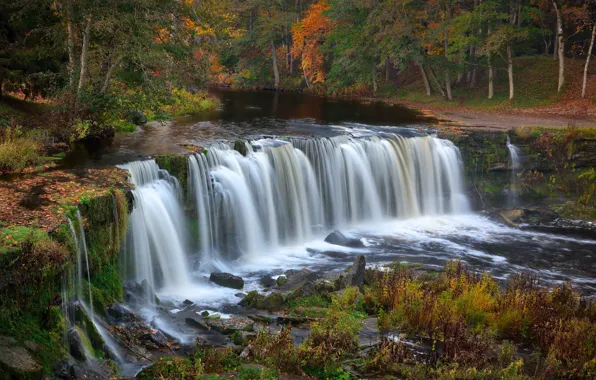 Картинка осень, лес, деревья, река, растительность, водопад, Эстония, Водопад Кейла