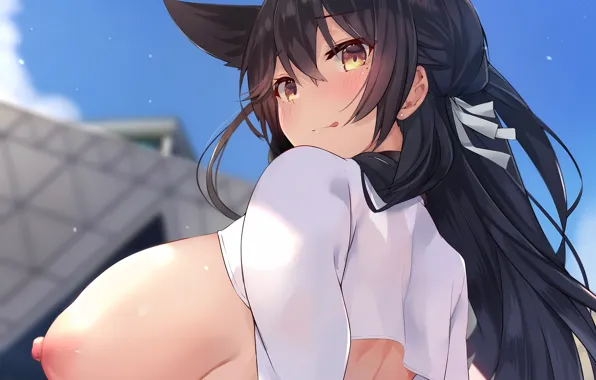 Girl, sexy, long hair, nipples, boobs, animal ears, anime, beautiful