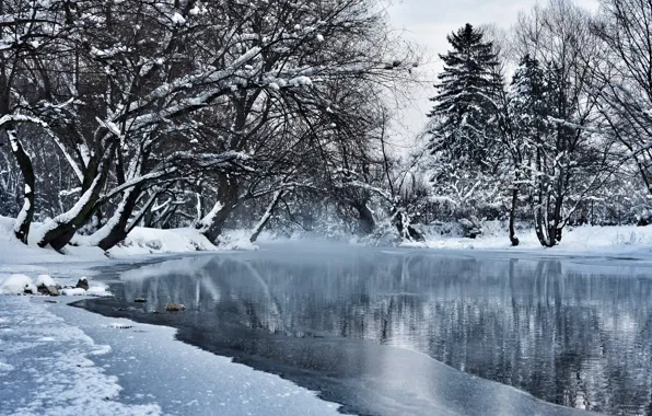 Зима, вода, снег, деревья, пруд, парк, Босния и Герцеговина, Sarajevo