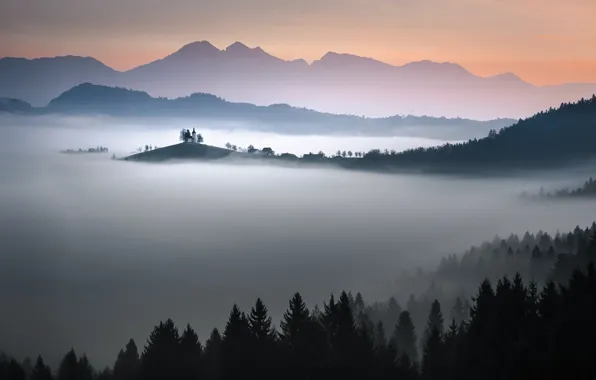 Картинка лес, небо, горы, туман, церковь