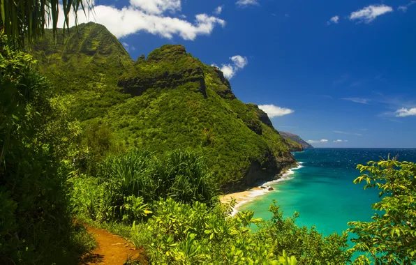 Море, зелень, лето, горы, берег