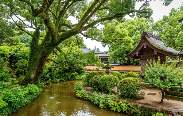 Зелень, деревья, дизайн, пруд, парк, Сингапур, кусты