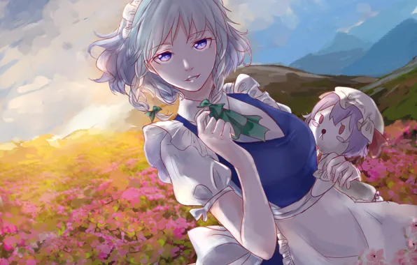 Девушка, закат, луг, арт, touhou