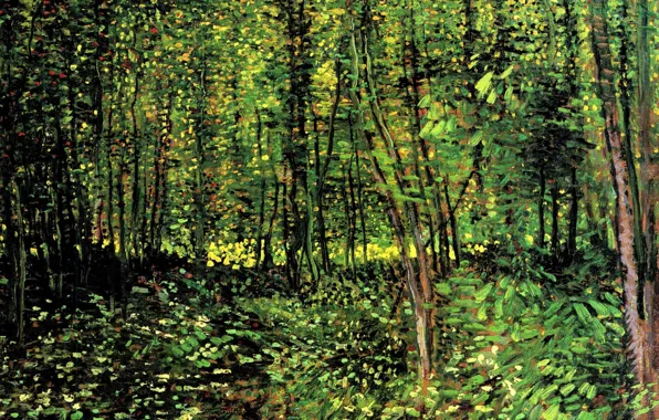 Картинка лесок, Винсент ван Гог, молодые деревья, Trees and Undergrowth 2