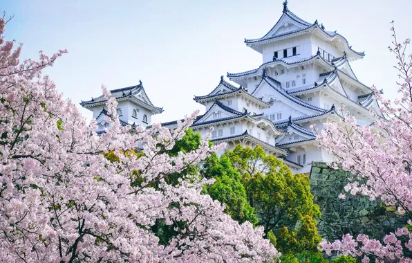 Деревья, замок, Япония, сакура, пагода