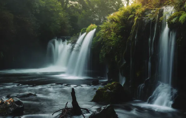 Картинка лес, лето, вода, деревья, пейзаж, природа, парк, камни