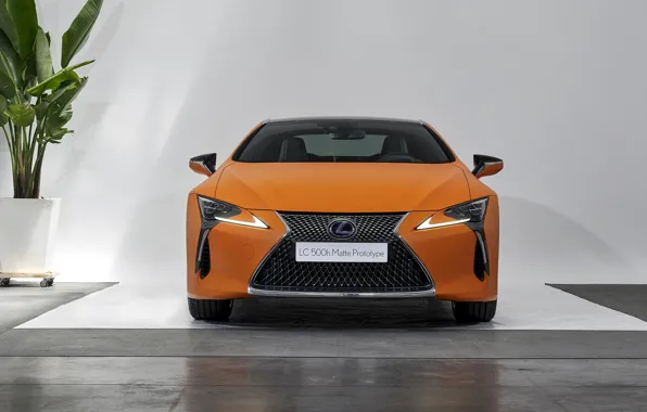 Lexus, вид спереди, LC 500, 2019, LC 500h, Matte Prototype