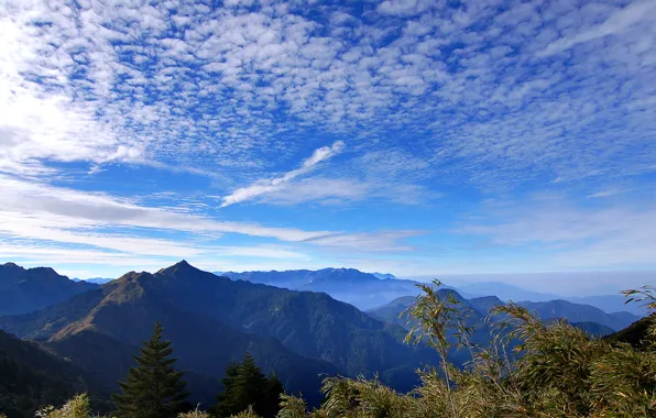 Картинка небо, облака, деревья, горы, природа