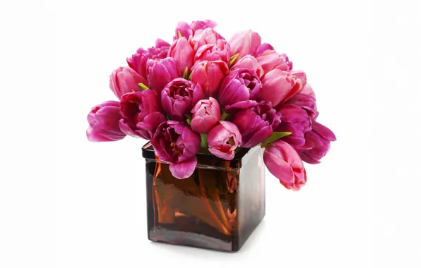 Картинка цветы, букет, тюльпаны, ваза, fresh, flowers, tulips, purple