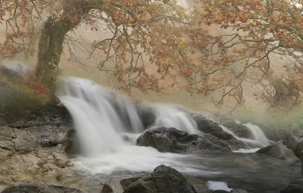 Картинка осень, река, камни, дерево, Франция, водопад, каскад, France
