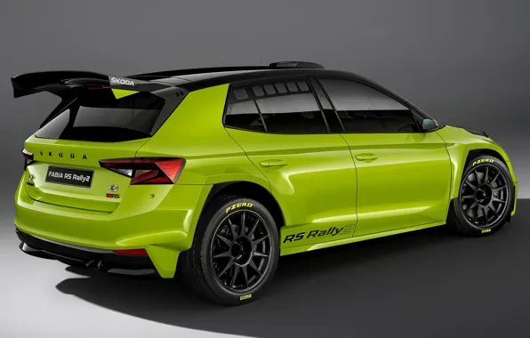 Картинка экстерьер, Skoda, 2022, Rally2, Fabia RS