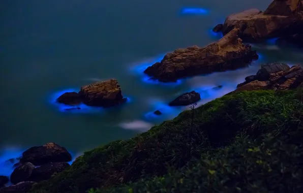 Картинка биолюминесцентные водоросли, Тайваньский пролив, острова Мацзу