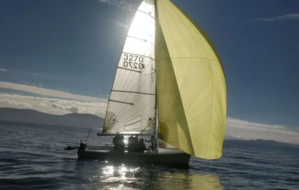 Море, побережье, лодка, команда, паруса, тренировка, sailing, парусный спорт