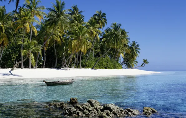 Картинка песок, пальмы, отдых, relax, экзотика, Индийский океан, Мальдивские острова