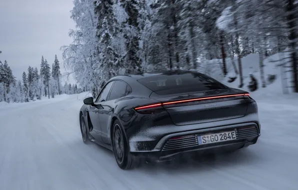 Картинка снег, деревья, чёрный, Porsche, задом, 2020, диффузор, Taycan