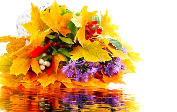Картинка осень, листья, вода, цветы, отражение, букет