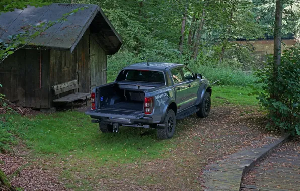 Серый, Ford, сарай, Raptor, пикап, Ranger, 2019