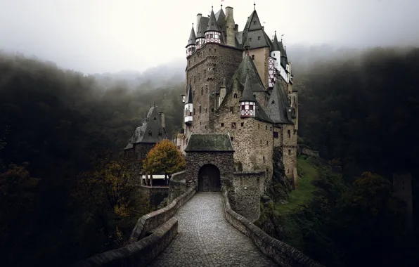 Осень, туман, замок, Германия, Эльц