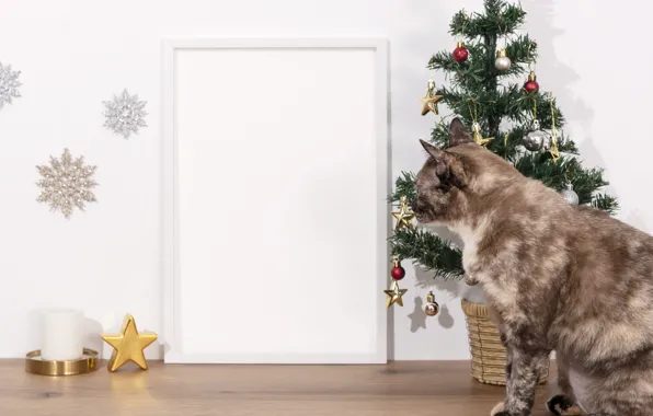 Кошка, кот, Рождество, Новый год
