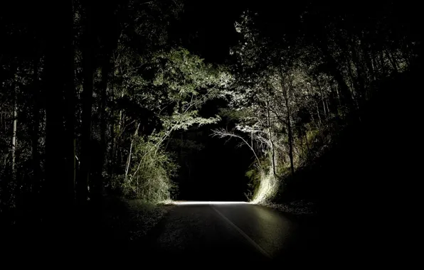Картинка дорога, лес, ночь
